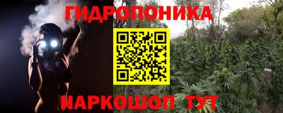мдпв Рязань