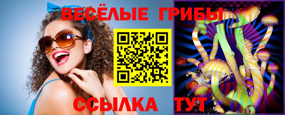 Галлюциногенные грибы Psilocybine cubensis  Вход с VPN  Полевской 