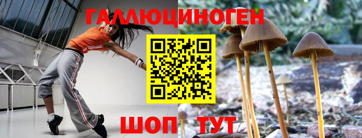 Псилоцибиновые грибы мухоморы Полевской
